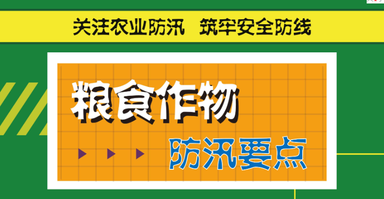 关注农业防汛.