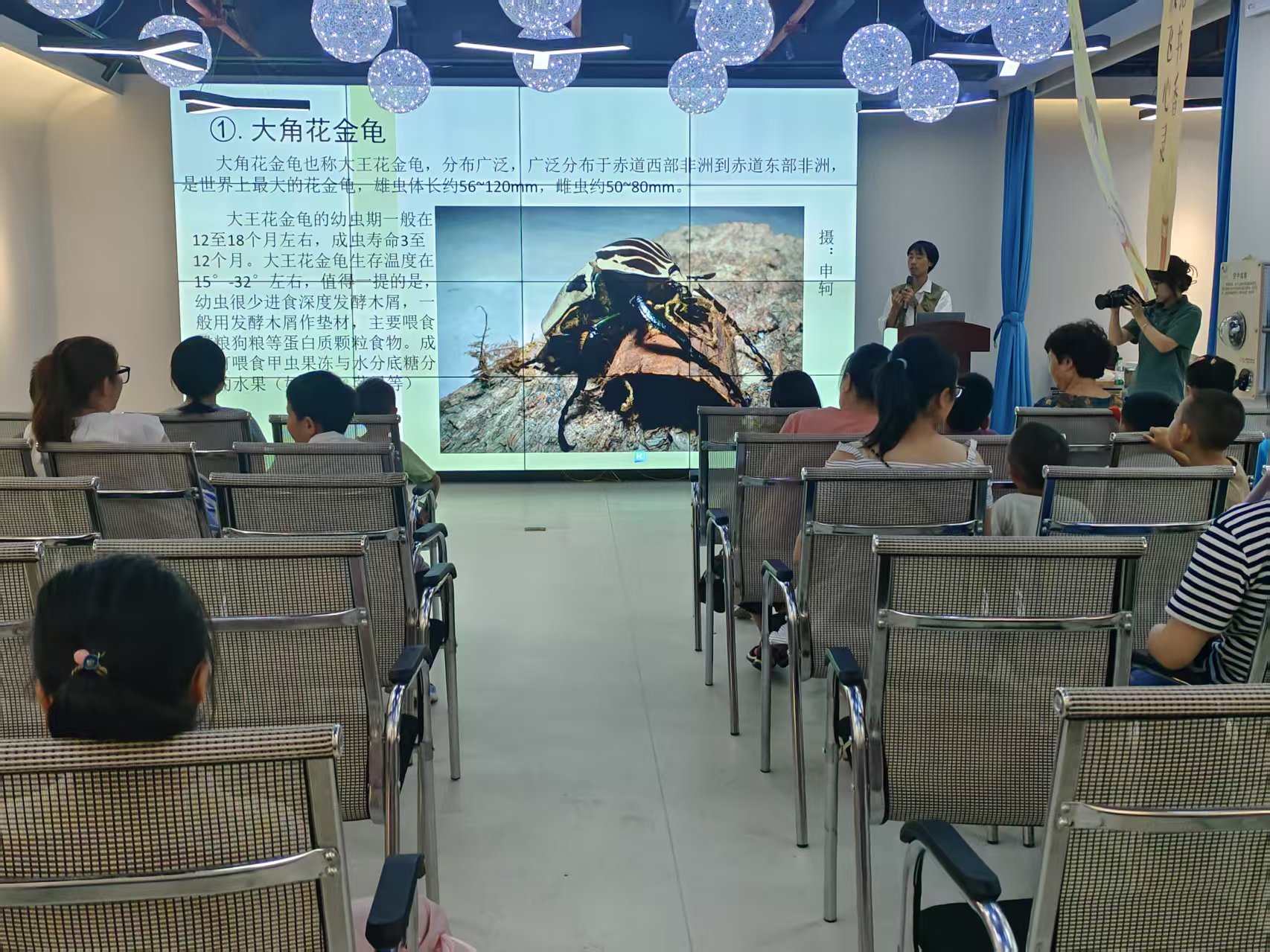 云岩区科协：小小昆虫学家 探秘虫虫王国
