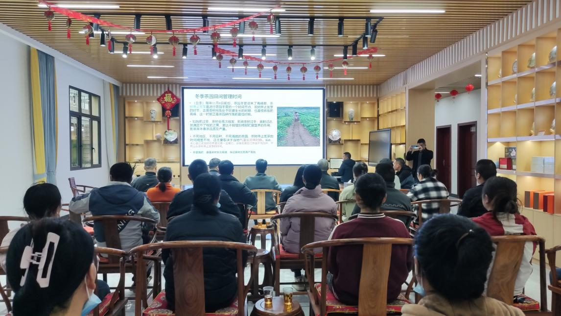 科普阵地+技术培训双发力 为茶产业发展增效添足底气