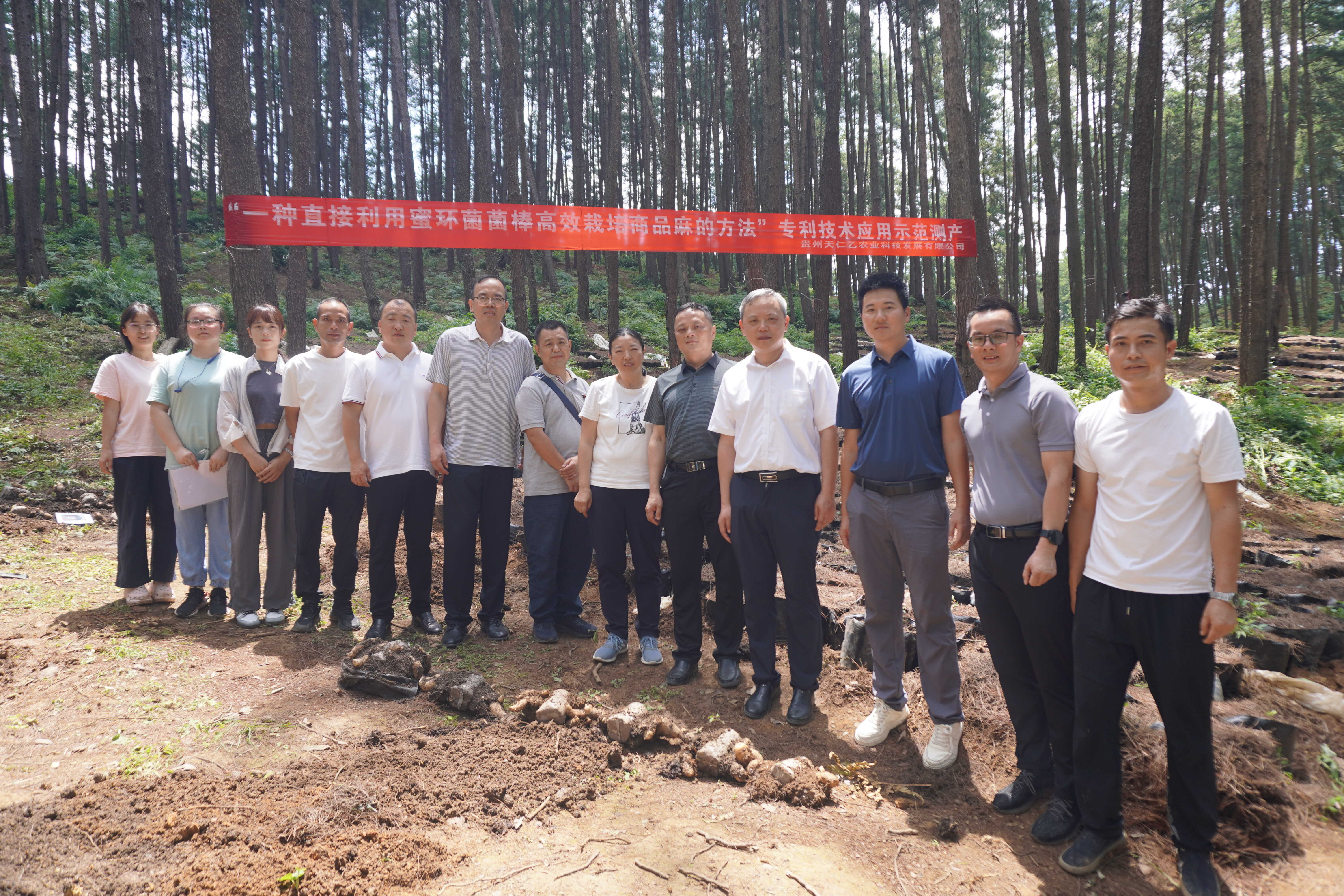 贵州省博士创新站推动贵州省农业科学院农作物品种资源研究所天麻科技成果在贵州天仁乙农业科技发展有限公司示范应用