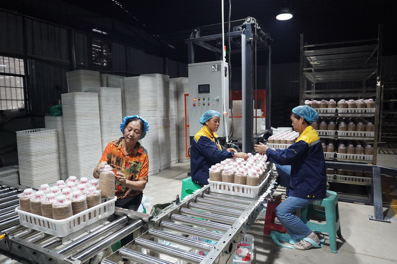 人民网：贵州省博士创新站首批成果出炉 天麻科技成果示范应用
